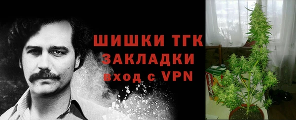 гидра Сатка