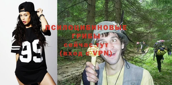 соль курить ск Белокуриха