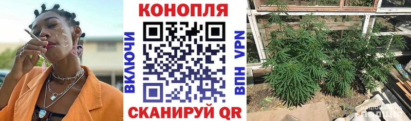 где можно купить   Кувшиново  hydra онион  Бошки марихуана марихуана 